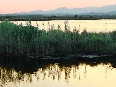 Albufera de Mallorca