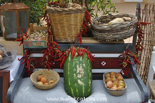 Cómo viajar a Mallorca
