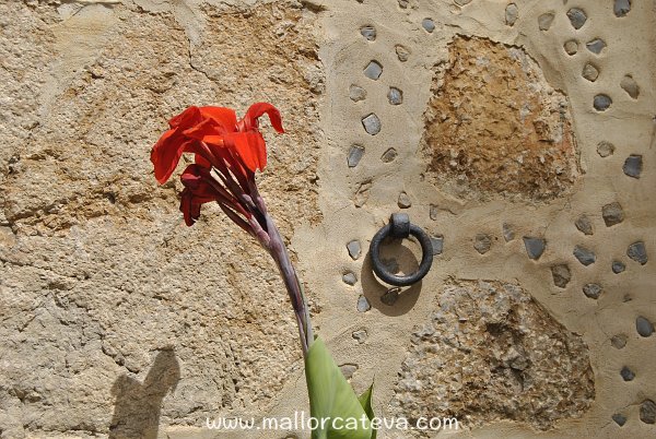 Cuándo visitar Mallorca